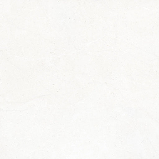 Lime Evolution Ice 24x48 Matte Porcelain Tile