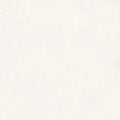 Lime Evolution Moon 48x48 Matte Porcelain Tile