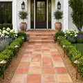 Lincoln 16x16 Natural Terracota Paver — Front Yard walkway