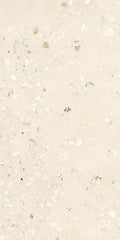 Logico Cosmo Light 24x48 Porcelain Tile