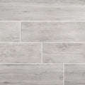 Lucas Canitia 12x48 Matte Porcelain Paver