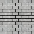 Carrara 1x2 Polished Marble Mosaic Tile