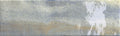 Lux Multicolor 3x10 Porcelain Waterline Tile