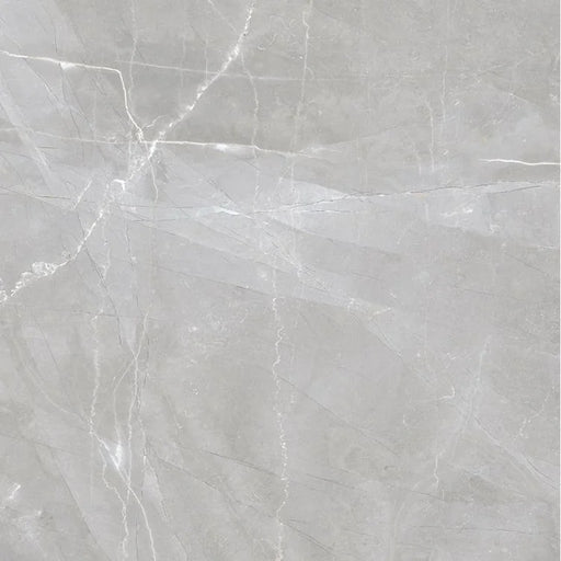 Luxury Amani Grey 24x24 Matte Marble Look Porcelain Tile