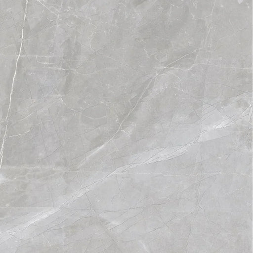 Luxury Amani Grey 24x24 Polished Porcelain Tile
