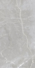 Luxury Amani Grey 24x48 Matte Marble Look Porcelain Tile