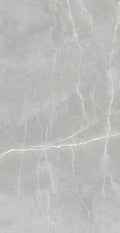 Luxury Amani Grey 24x48 Polished Porcelain Tile