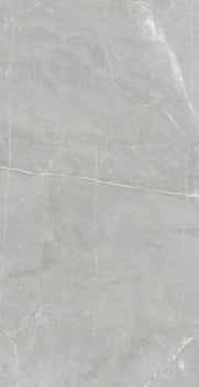 Luxury Amani Grey 24x48 Polished Porcelain Tile
