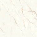 Magnifica Nineteen Forty Eight Calacatta Oro 48x48 8mm Polished Ceramic Tile