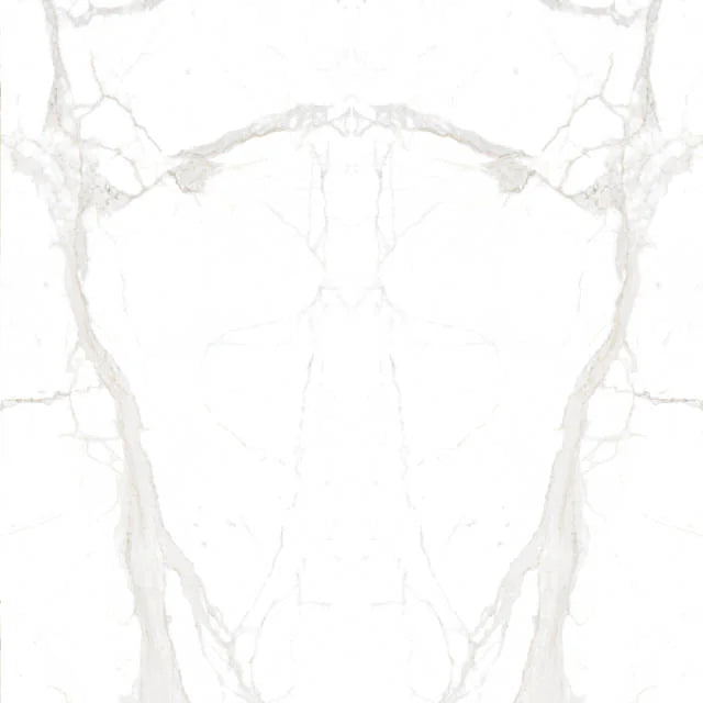 Magnifica Encore Calacatta Super White 126x60 12mm Honed Marble Slab