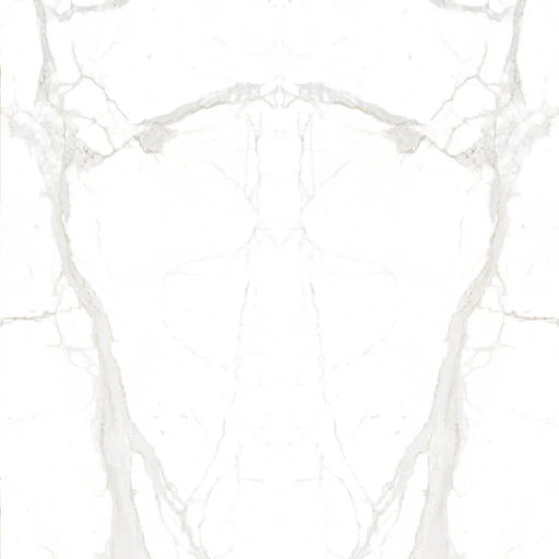 Magnifica Encore Calacatta Super White 126x60 12mm Honed Marble Slab