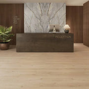 La Jolla Soledad 12MM 9x60 Laminate Floor