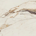 Magnifica Era Luxury Calacatta Borghini 48x24 Satin Ceramic Field Tile