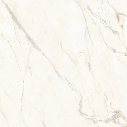 Magnifica Fusion Calacatta Oro 60x58.5 Honed 6mm Slab Porcelain Shower Panel