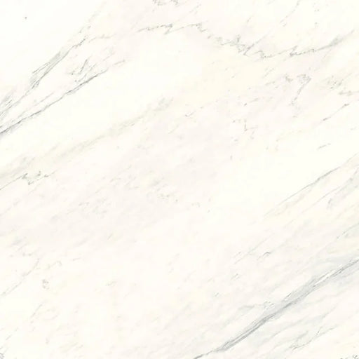 Magnifica Fusion Luxe White 60x58.5x0.24 Shower Panel Honed Porcelain Slab