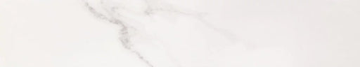 Maison 4x20 Matte Porcelain Dortmund Calacatta Wall & Floor Tile