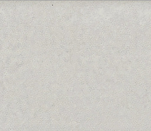 Makalu Blanco 2x20 Porcelain Wall Tile