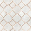 Marbella Lynx Polished Misc. 0.38 Inch Marble Mosaic Tile