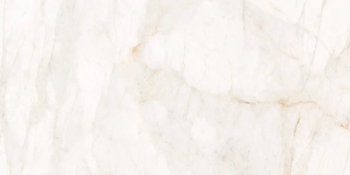 Marble Dolomita White 24x48 Glazed Porcelain Tile