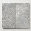 Marine Fantasy Marble Paver 12x24 Tumbled 2 inch close-up