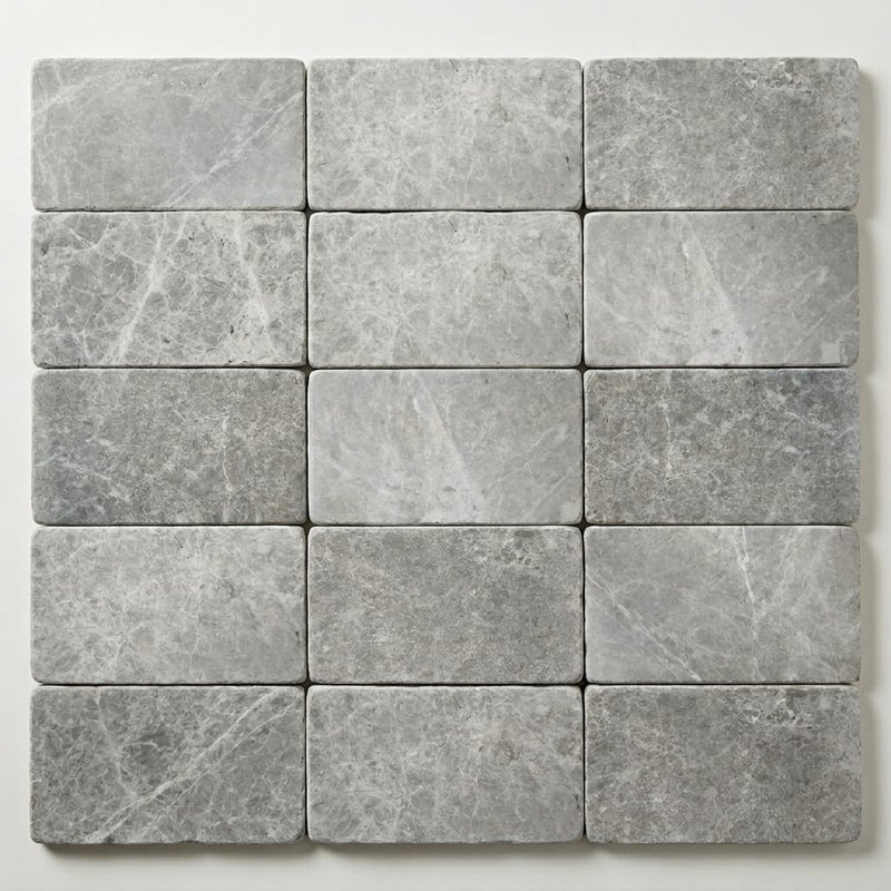 Marine Fantasy Marble Paver 6x12 Tumbled 1.25 inch close-up