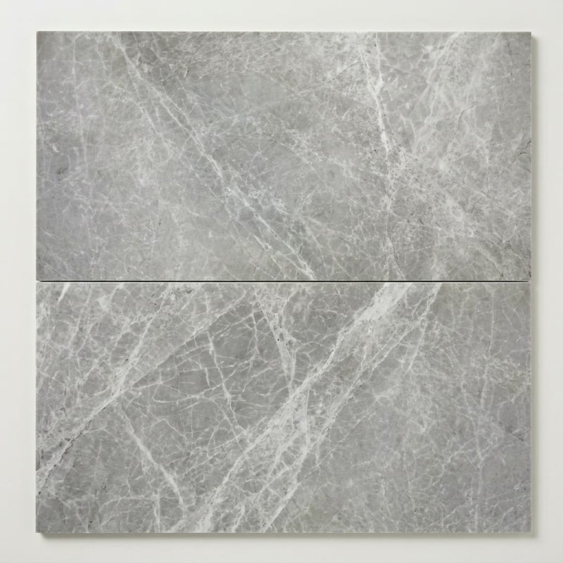 Marine Fantasy Marble Tile 12x24 Polished close-up