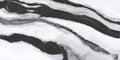 Marmi Coveland 24x48 Glazed Porcelain Wall & Floor Tile (Made in Italy)