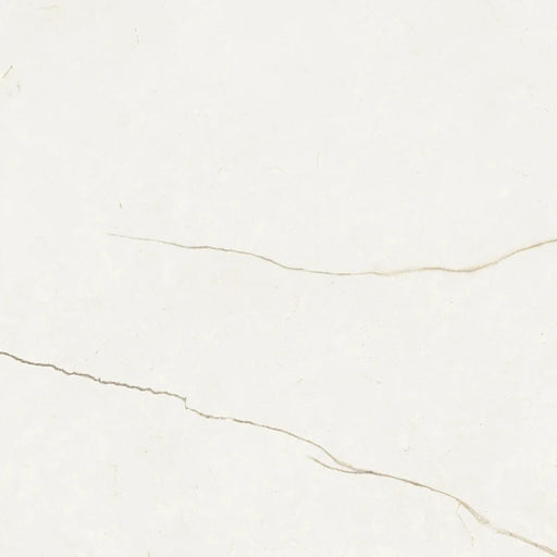 Marmo Marfil Matte 24x24 Rectified Porcelain Tile