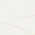 Marmo Marfil Matte 24x48 Rectified Porcelain Tile
