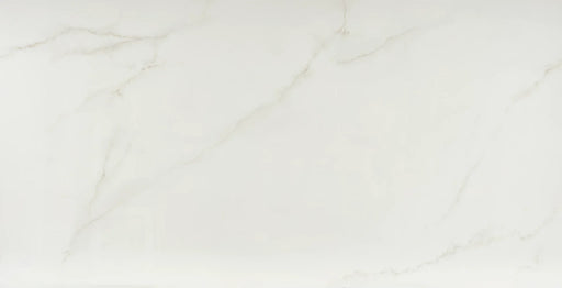 Marvel Cal Apuano 24x48 Polished Porcelain Tile