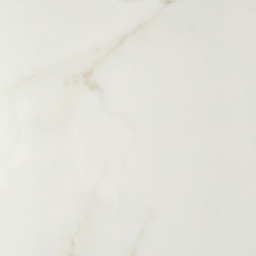 Marvel Cal Apuano 24x48 Polished Porcelain Tile