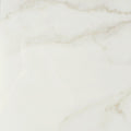 Marvel Cal Apuano 24x48 Polished Porcelain Tile