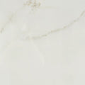 Marvel Cal Apuano 24x48 Polished Porcelain Tile