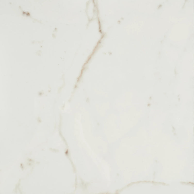 Marvel Cal Prestigio 24x48 Matte Porcelain Tile