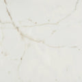 Marvel Cal Prestigio 24x48 Polished Porcelain Tile