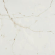 Marvel Cal Prestigio 24x48 Polished Porcelain Tile