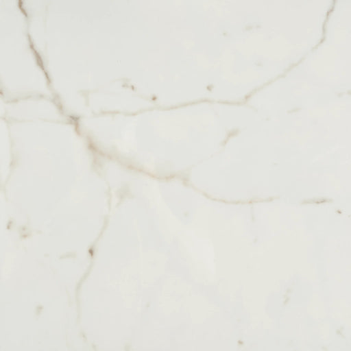 Marvel Cal Prestigio 24x48 Polished Porcelain Tile