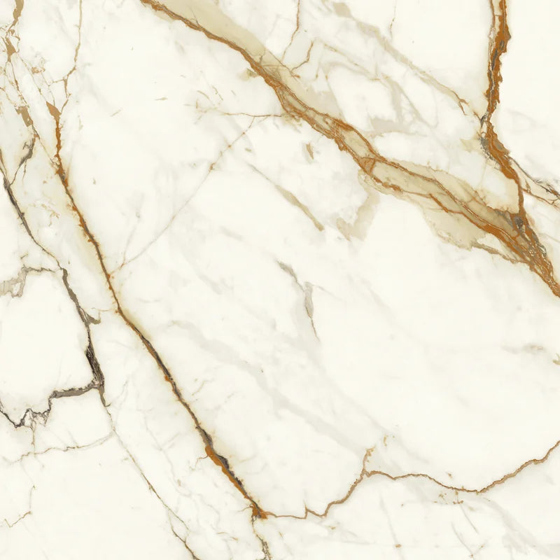Marvel Calacatta Imper 48x48 Porcelain Floor Tile