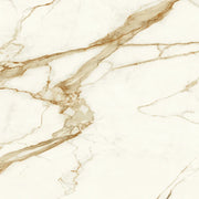Marvel Calacatta Imper 48x48 Porcelain Floor Tile