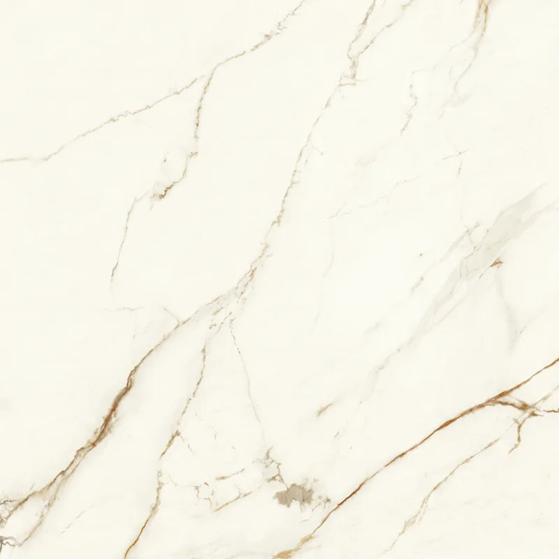 Marvel Calacatta Imper 48x48 Porcelain Floor Tile