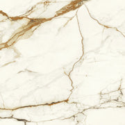 Marvel Calacatta Imper 48x48 Porcelain Floor Tile