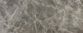 Marvel Fior Di Bosco Polished Pencil Bullnose 1/2x12 Porcelain Trim