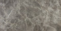 Marvel Fior Di Bosco 24x48 Polished Porcelain Tile