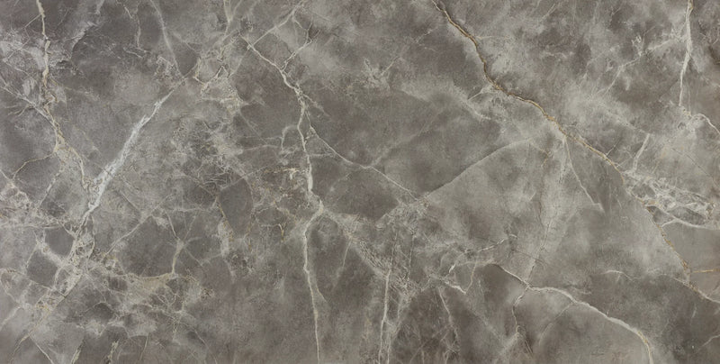 Marvel Fior Di Bosco 24x48 Polished Porcelain Tile
