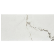 Marvel Stat Supremo 12x24 Matte Porcelain Tile