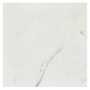 Marvel Stat Supremo 12x24 Matte Porcelain Tile