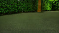 Meadow Pet Roll 15ft x 100ft 30mm 91oz Artificial Turf