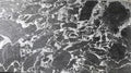 Michelangelo Grigio 129.9x74 Polished Marble Slab