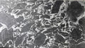 Michelangelo Grigio 129.9x74 Polished Marble Slab