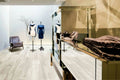 Millelegni White Toulipier 8x48 Porcelain Plank